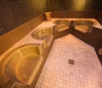 fire ice sauna group bodenkirchen application steam bath facility photo5