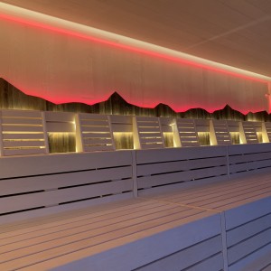 bild40 sauna panca panche illuminazione rosso finlandese strutture per il benessere costruzione di acquari piscina avventura oberstaufen fire sauna di ghiaccio gruppo bild40 sauna panca panche illuminazione rosso finlandese strutture per il benessere costruzione di acquari piscina avventura oberstaufen fire sauna di ghiaccio gruppo