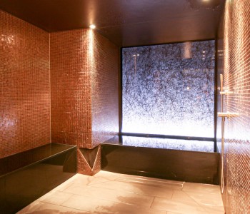 fire ice sauna group bodenkirchen aroma steam bath facility photo3