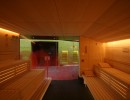 eggenbeg austria auster zły ogień u lód grupa bodenkirchen wellness sauna spa produkt planowanie zakup oferta szkło fotograficzne drzwi wejściowe sauna ogień lód wellness spa