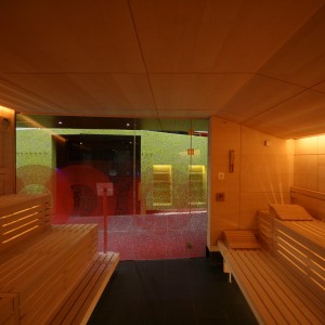 eggenbeg austria auster zły ogień u lód grupa bodenkirchen wellness sauna spa produkt planowanie zakup oferta szkło fotograficzne drzwi wejściowe sauna ogień lód wellness spa