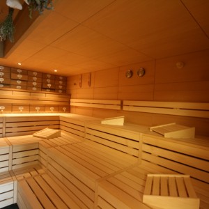 bid2 sauna herbes éclairage moderne banc banc lattes profil bois construction usine bien-être bergland thermes bad endbach feu glace sauna groupe