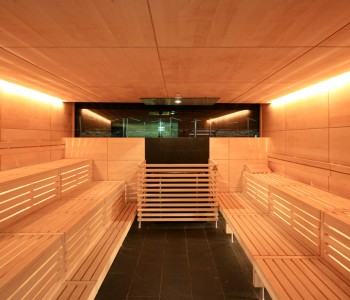 feu groupe de sauna à glace construction de sauna bodenkirchen installation de sauna bio photo