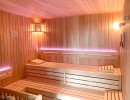 feu groupe de sauna à glace construction de sauna bodenkirchen installation de sauna bio photo