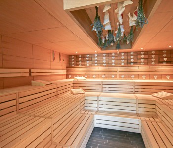 fire ice sauna goup bodenkirchen sauna construction bio sauna facility photo