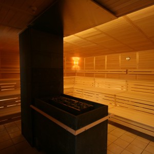 imagen sauna moderno iluminación horno kw banco sistema construcción bienestar donaubadn nuevo ulm fuego hielo sauna grupo