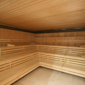 foto sauna moderno forno kw banca costruzione di impianti wellness donaubadn new ulm fire ice sauna group