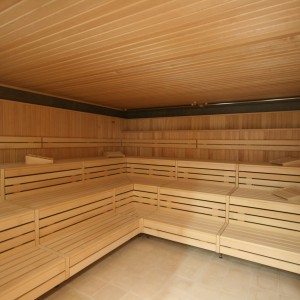 imagen sauna moderno horno kw banco sistema construcción bienestar donaubadn nuevo ulm fuego hielo sauna grupo