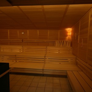 image sauna vieux bois rustique poêle kw banc système construction bien-être donaubadn nouveau ulm feu glace sauna groupe