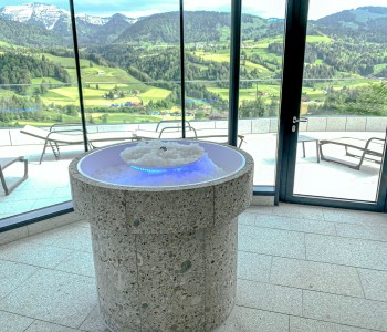 ogień lodowy sauna grupa bodenkirchen lodowa fontanna schładzająca zdjęcie7
