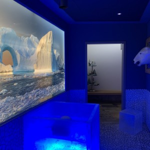 picture sauna wellness facility construction cooling fountain ice bathing paradise ice meadow goettingen fire ice sauna group picture sauna wellness facility construction cooling fountain ice bathing paradise ice meadow goettingen fire ice sauna group