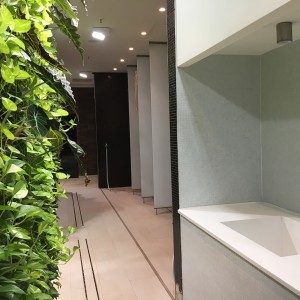 foto fuente de hielo pared entrada planta construcción planta planificación bienestar spa sauna proyecto elementos muenchen fuego u hielo bienestar spa grupo gmbh foto fuente de hielo pared entrada planta construcción planta planificación bienestar spa sauna proyecto elementos muenchen fuego u hielo bienestar spa grupo gmbh