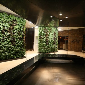función fotográfica baño de vapor acristalamiento construcción de instalaciones planificación de instalaciones wellness spa sauna elementos de proyecto fuego y hielo de munich wellness spa group gmbh función fotográfica baño de vapor acristalamiento construcción de instalaciones planificación de instalaciones wellness spa sauna elementos de proyecto fuego y hielo de munich wellness spa group gmbh