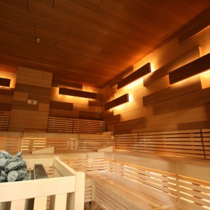 foto sauna finlandese stufa a legna illuminazione indiretta costruzione impianti progettazione impianti wellness spa sauna elementi di progetto monaco di baviera fuoco e ghiaccio wellness spa group gmbh