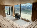 groupe de sauna à glace de feu construction de sauna bodenkirchen installation de sauna finlandais photo