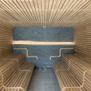 bild5 panca per sauna panca curva installazione di doghe impianto wellness costruzione gerolsbad pfaffenhofen fire gruppo di saune di ghiaccio