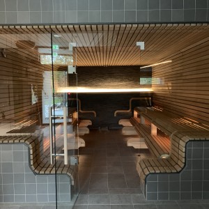bild9 oświetlenie sauny przeszklenie ławka ławka zakrzywiona listwy instalacja budowa wellness gerolsbad pfaffenhofen ogień lodowa sauna grupa