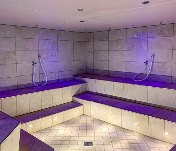 fire ice sauna group bodenkirchen massive steam bath facility photo1