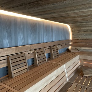 image sauna éclairage banc lattes panneau en bois profil bois assemblage construction installation bien-être mer temps piscine à vagues u spa buesum feu glace sauna groupe