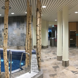 Mineraltherme Boeblingen Dodatek Wellness Bau Steambad Technology System ponuja načrtovanje Firee U Ice Group Bodenkirchen Photo Therme Boebling Fire Ice Wellness Mineraltherme Boeblingen Dodatek Wellness Bau Steambad Technology System ponuja načrtovanje Firee U Ice Group Bodenkirchen Photo Therme Boebling Fire Ice Wellness