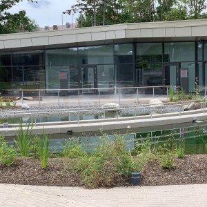 bild46 water jet system spraying pressure outdoor wellness facilities construction leisure pool nautiland wuerzburg fire ice sauna group bild46 water jet system spraying pressure outdoor wellness facilities construction leisure pool nautiland wuerzburg fire ice sauna group