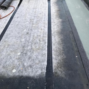 Obr .15 Saunahaus Dach Bau Sanícia Parkbad Laupheim Fire Ice Sauna Group Obr .15 Saunahaus Dach Bau Sanícia Parkbad Laupheim Fire Ice Sauna Group