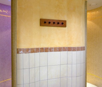 fire ice sauna group bodenkirchen round shower facility photo7